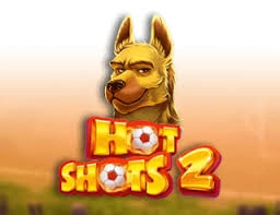 hot & shots 2 slot 